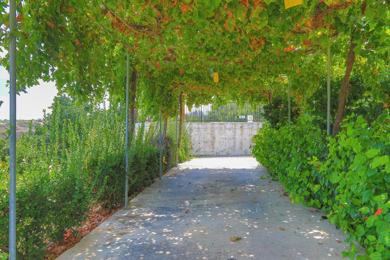Villa Aphrodite Finiki Polis Kültér fotó